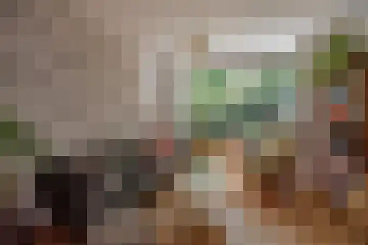 Paulus Potterlaan 6 Rijswijk thumbnail 11