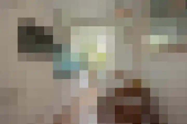 Paulus Potterlaan 6 Rijswijk thumbnail 18