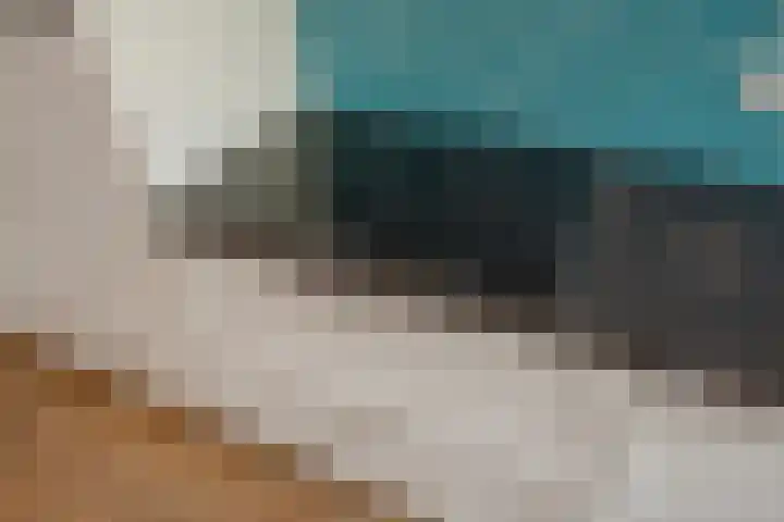 Paulus Potterlaan 6 Rijswijk thumbnail 19