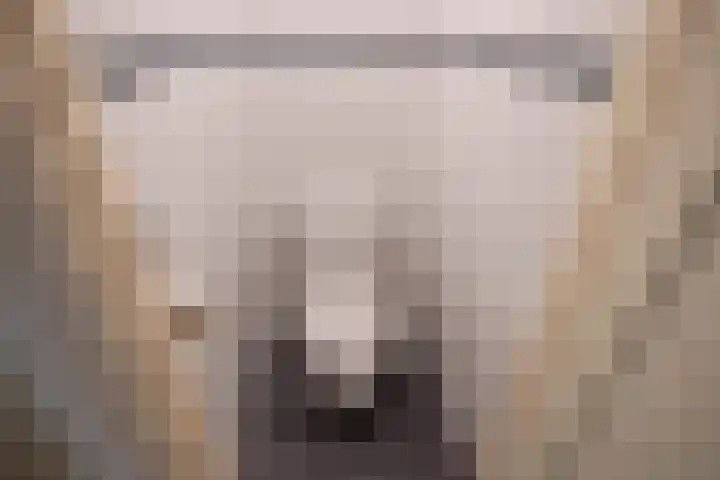 Paulus Potterlaan 6 Rijswijk thumbnail 20