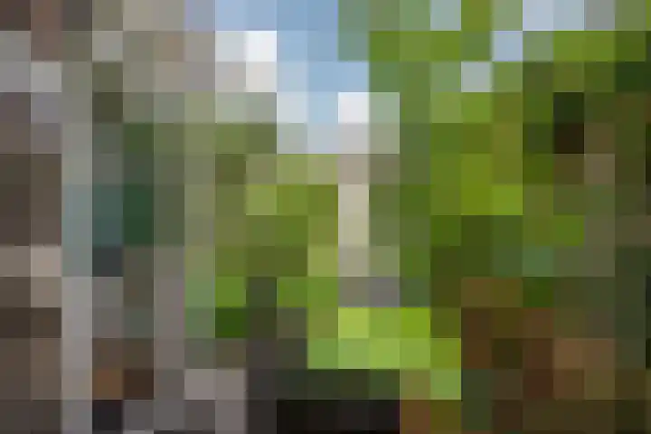 Paulus Potterlaan 6 Rijswijk thumbnail 21