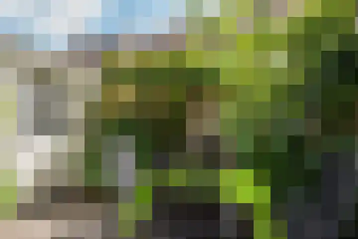 Paulus Potterlaan 6 Rijswijk thumbnail 22