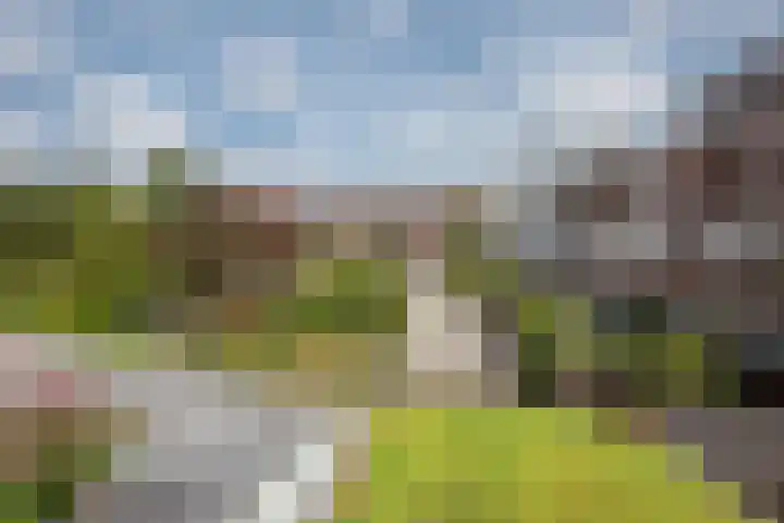 Paulus Potterlaan 6 Rijswijk thumbnail 29