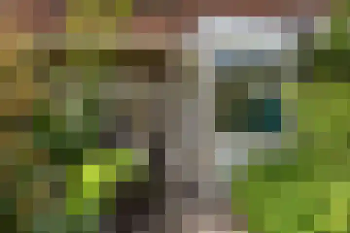 Paulus Potterlaan 6 Rijswijk thumbnail 4