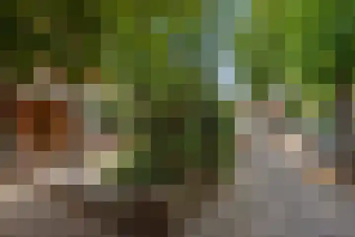 Paulus Potterlaan 6 Rijswijk thumbnail 5