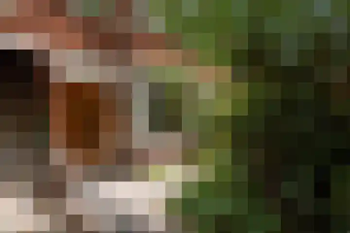 Paulus Potterlaan 6 Rijswijk thumbnail 6