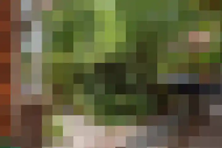 Paulus Potterlaan 6 Rijswijk thumbnail 7