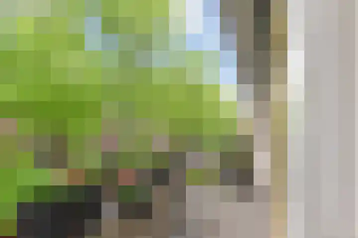 Paulus Potterlaan 64 Rijswijk thumbnail 10