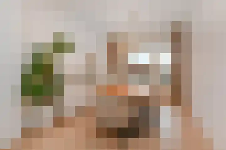 Paulus Potterlaan 64 Rijswijk thumbnail 13