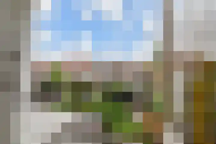 Paulus Potterlaan 64 Rijswijk thumbnail 15