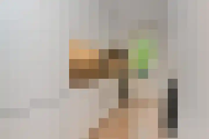 Paulus Potterlaan 64 Rijswijk thumbnail 19