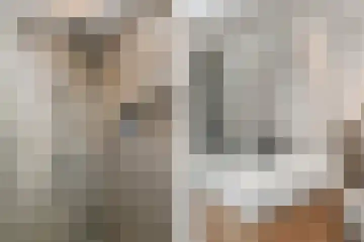 Paulus Potterlaan 64 Rijswijk thumbnail 29