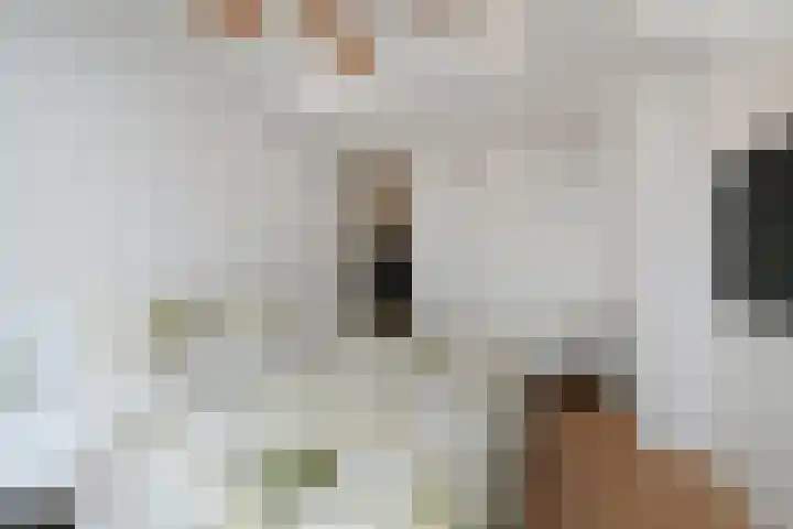 Paulus Potterlaan 64 Rijswijk thumbnail 33