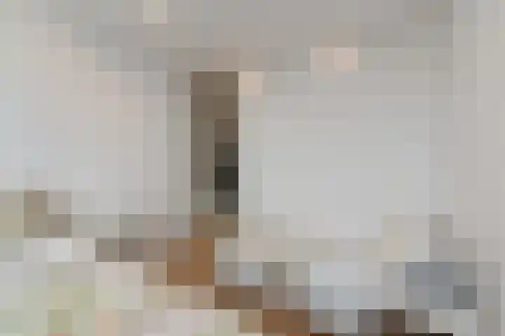 Paulus Potterlaan 64 Rijswijk thumbnail 34