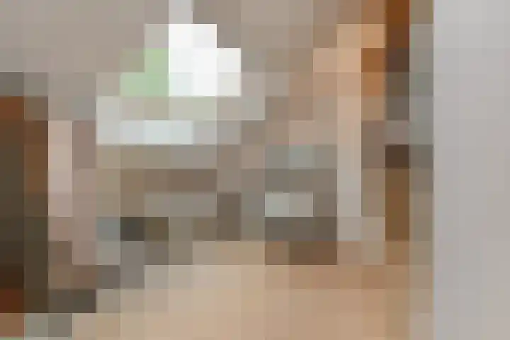 Paulus Potterlaan 64 Rijswijk thumbnail 35