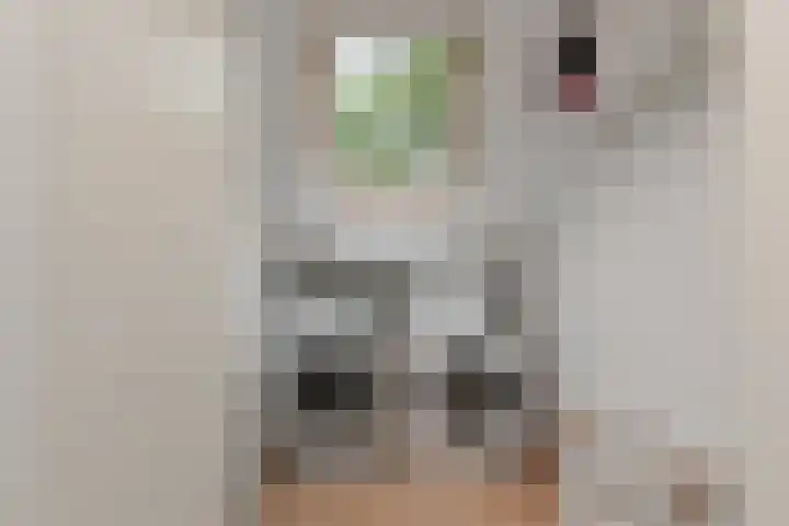 Paulus Potterlaan 64 Rijswijk thumbnail 38