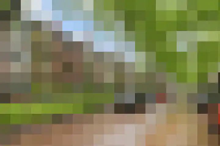 Paulus Potterlaan 64 Rijswijk thumbnail 39