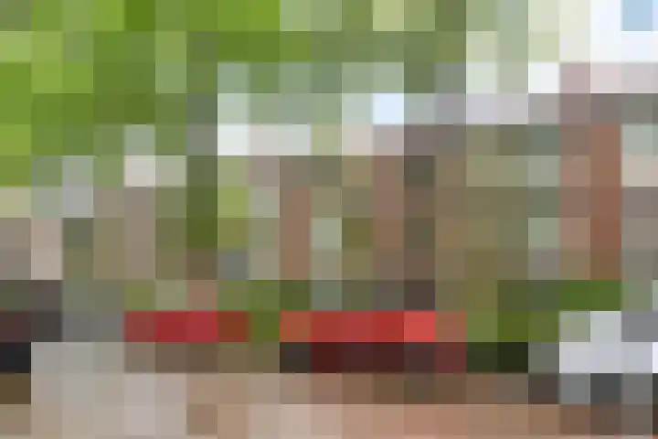 Paulus Potterlaan 64 Rijswijk thumbnail 4