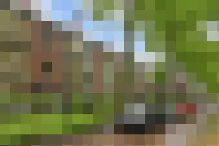 Paulus Potterlaan 64 Rijswijk thumbnail 40