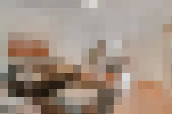 Paulus Potterlaan 64 Rijswijk thumbnail 44