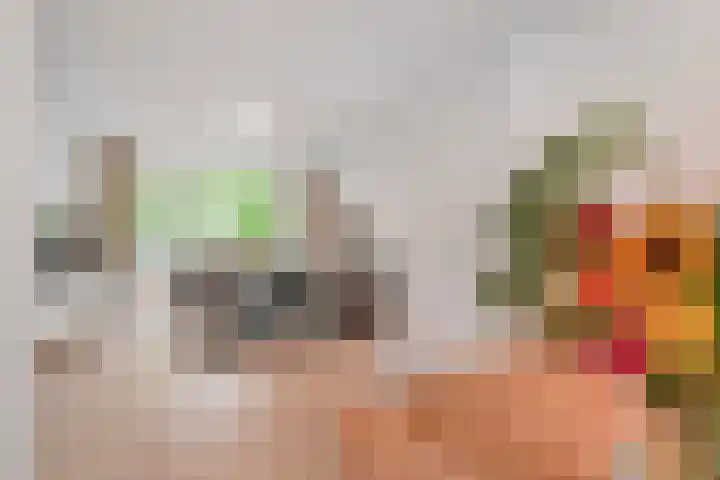 Paulus Potterlaan 64 Rijswijk thumbnail 8