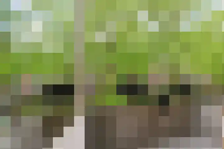 Paulus Potterlaan 64 Rijswijk thumbnail 9