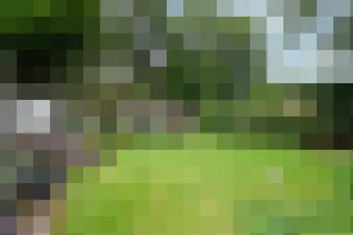 Paulus Potterlaan 7 Doorn thumbnail 24