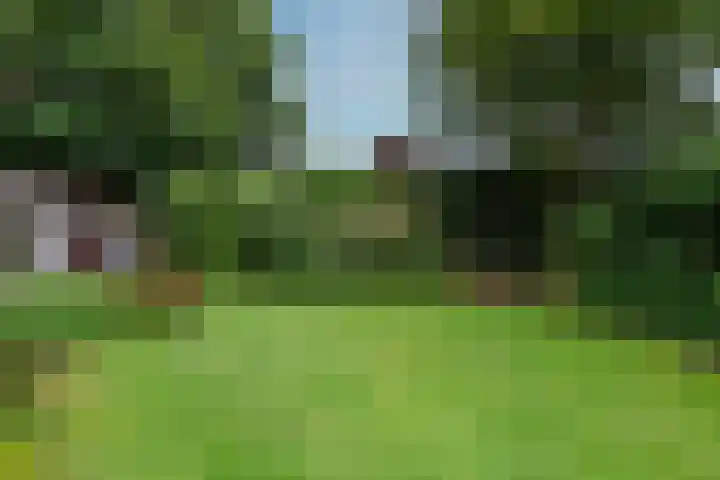 Paulus Potterlaan 7 Doorn thumbnail 25