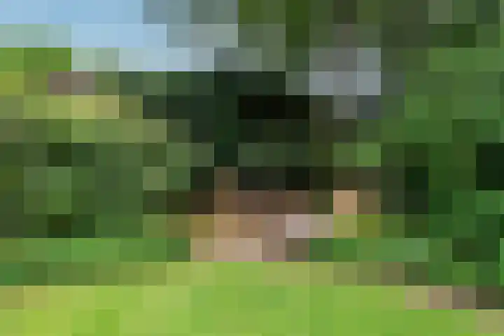 Paulus Potterlaan 7 Doorn thumbnail 26