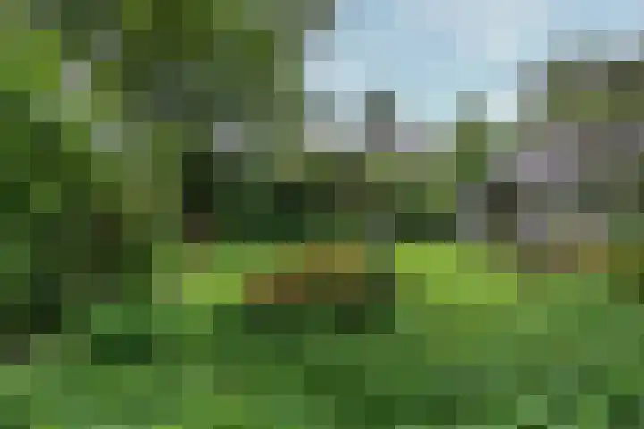 Paulus Potterlaan 7 Doorn thumbnail 27