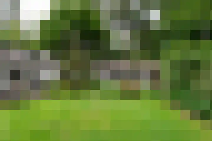 Paulus Potterlaan 7 Doorn thumbnail 29