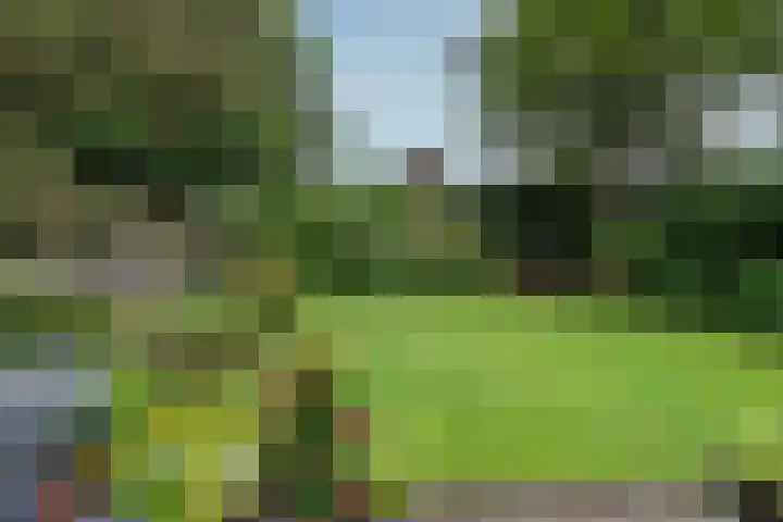Paulus Potterlaan 7 Doorn thumbnail 30