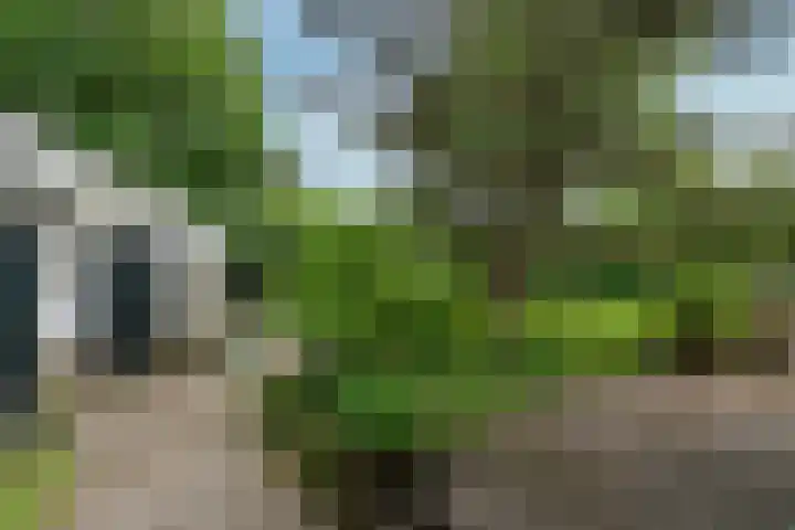 Paulus Potterlaan 7 Doorn thumbnail 31