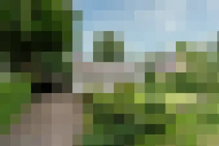Paulus Potterlaan 7 Doorn thumbnail 4