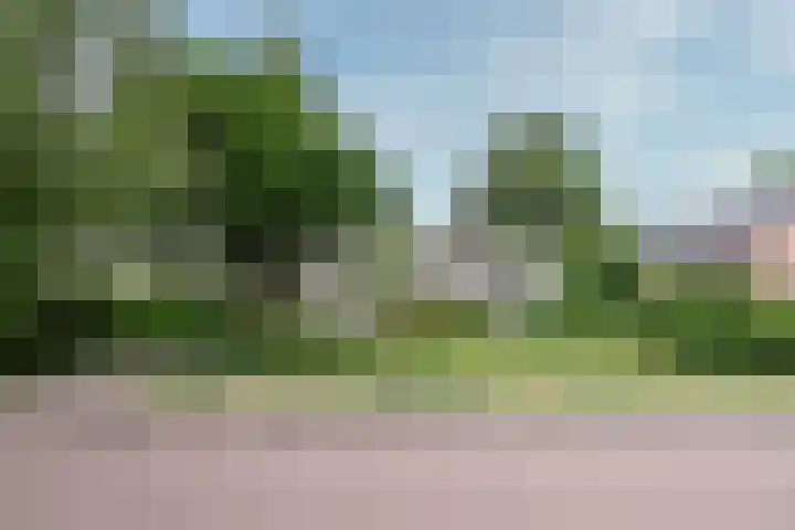 Paulus Potterlaan 7 Doorn thumbnail 42