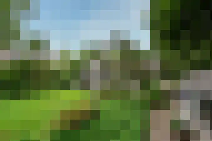 Paulus Potterlaan 7 Doorn thumbnail 44