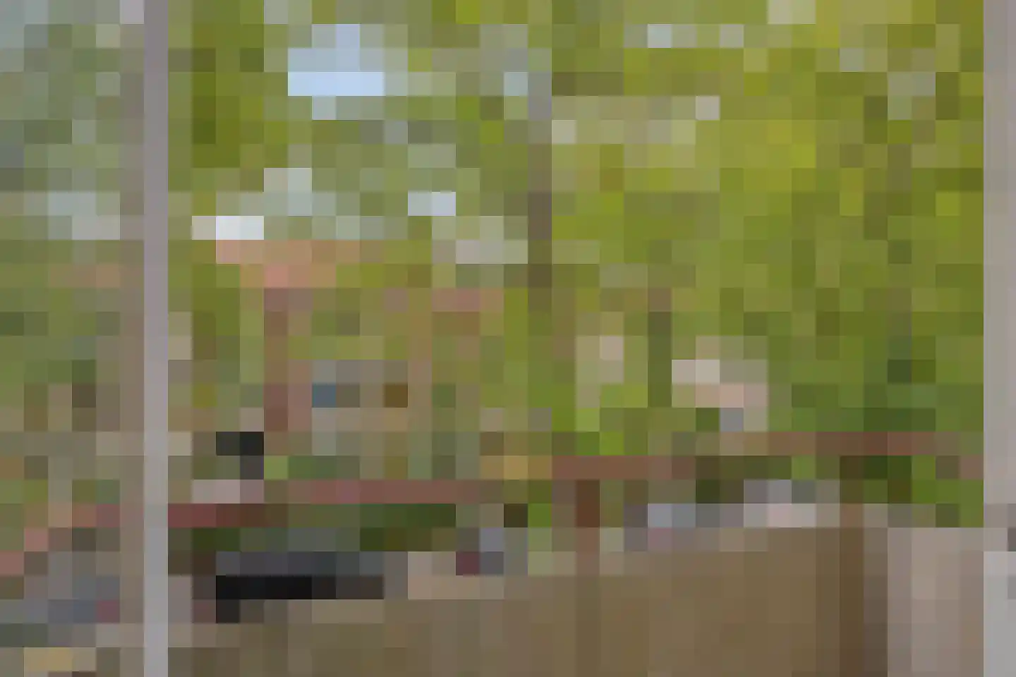 Paulus Potterlaan 76 Rijswijk thumbnail 14