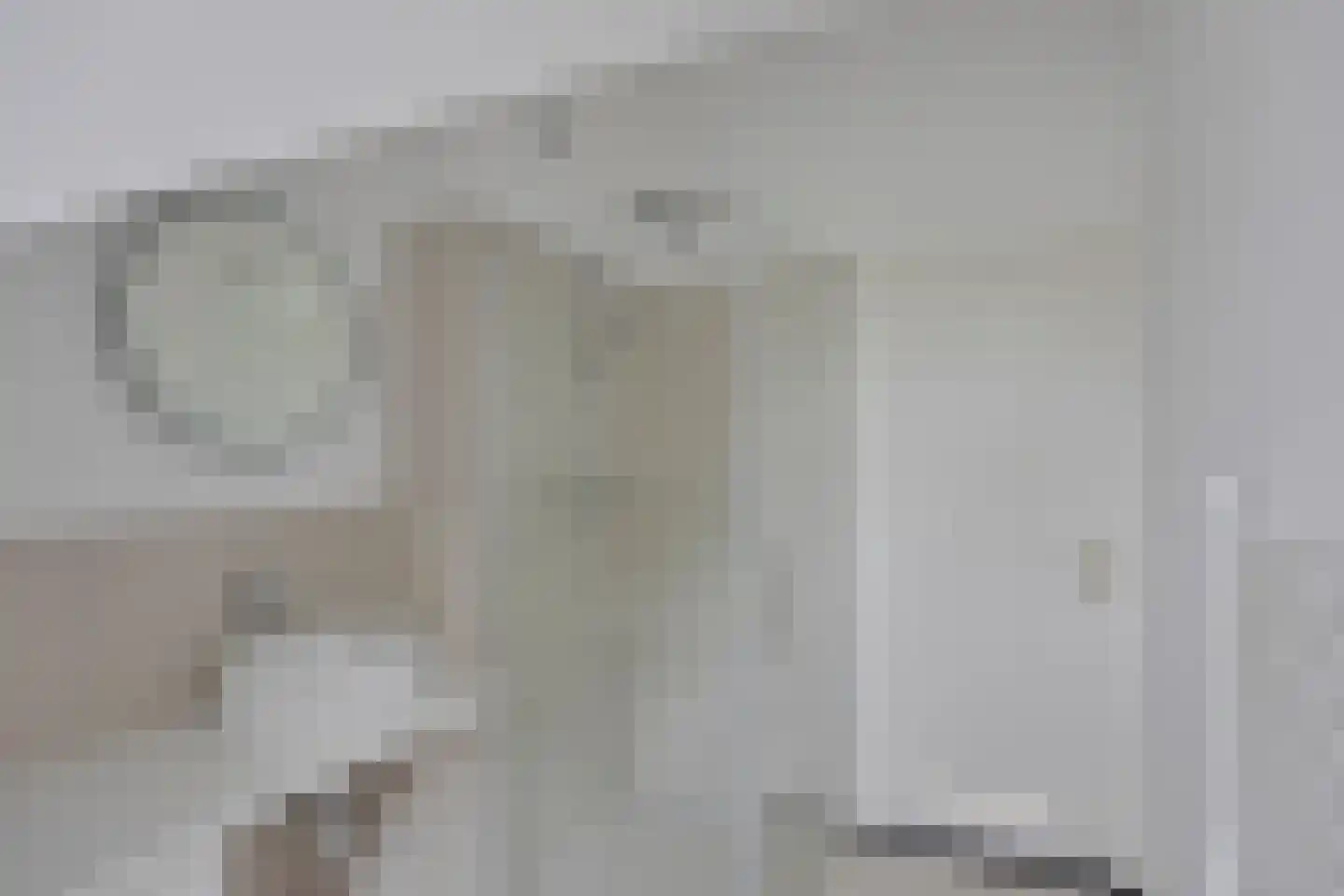 Paulus Potterlaan 76 Rijswijk thumbnail 26