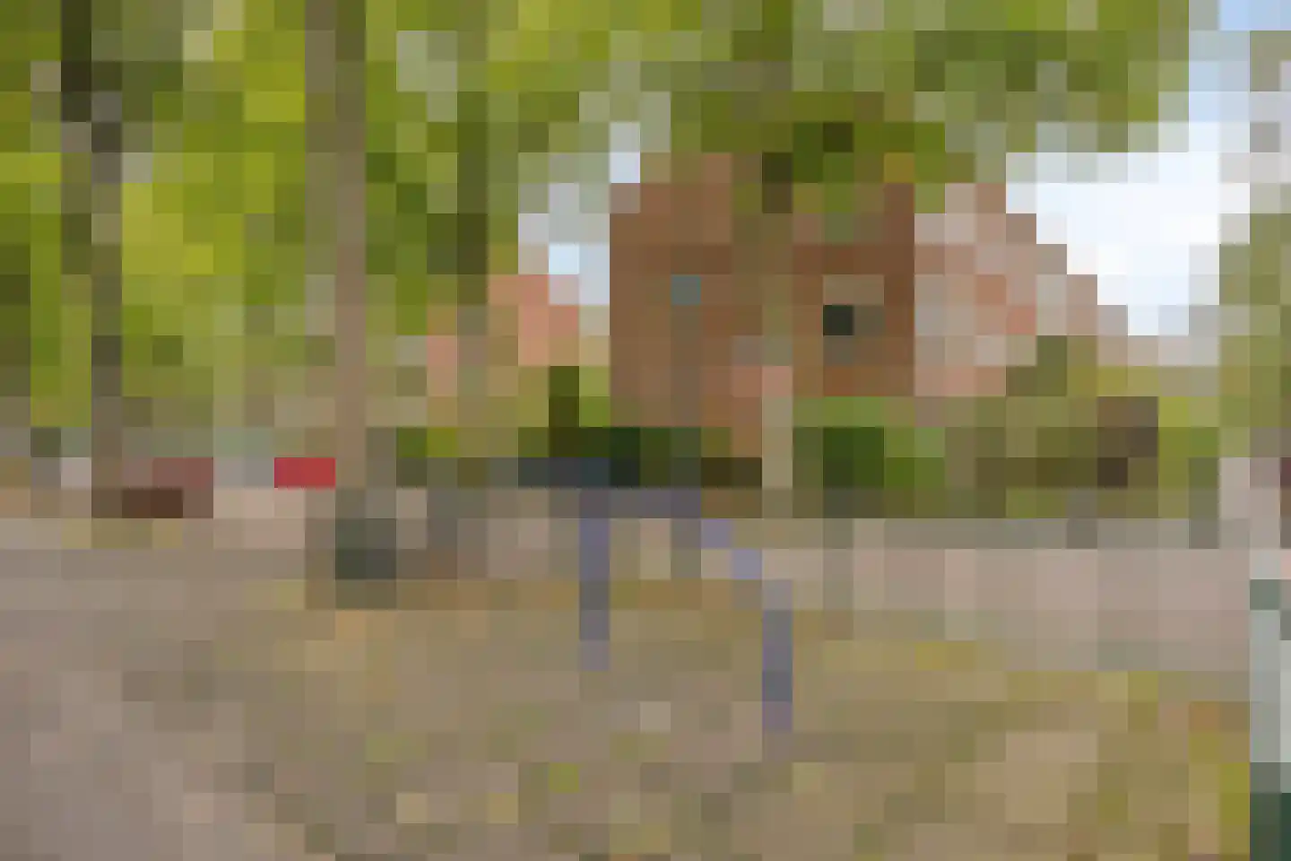 Paulus Potterlaan 76 Rijswijk thumbnail 35