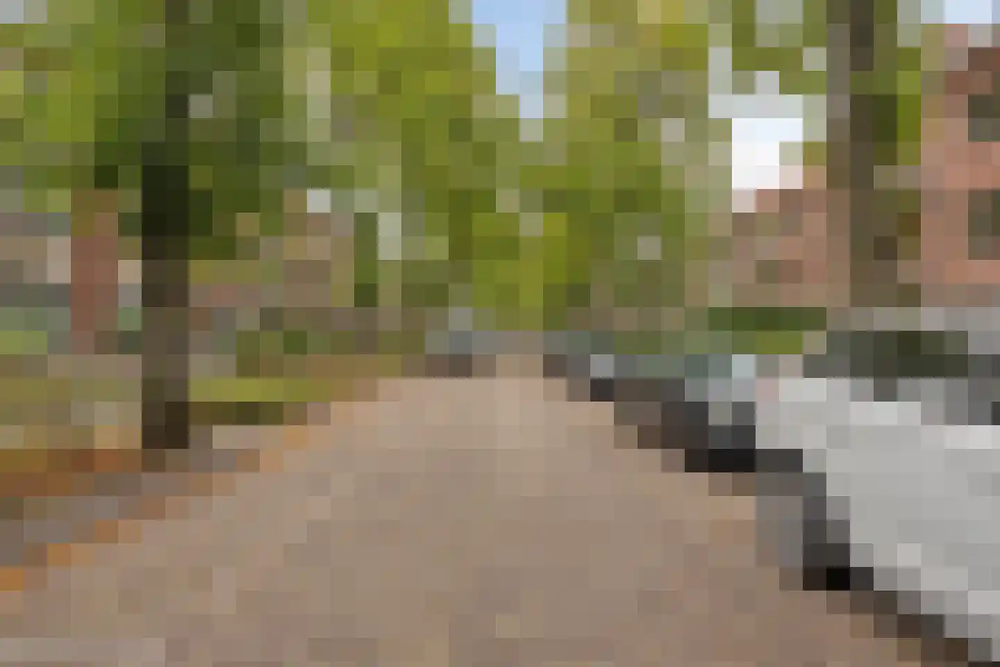Paulus Potterlaan 76 Rijswijk thumbnail 36