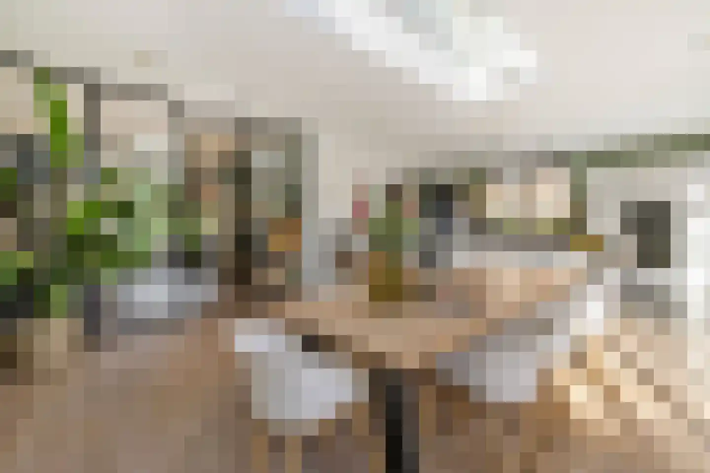 Paulus Potterlaan 8 Naarden thumbnail 18