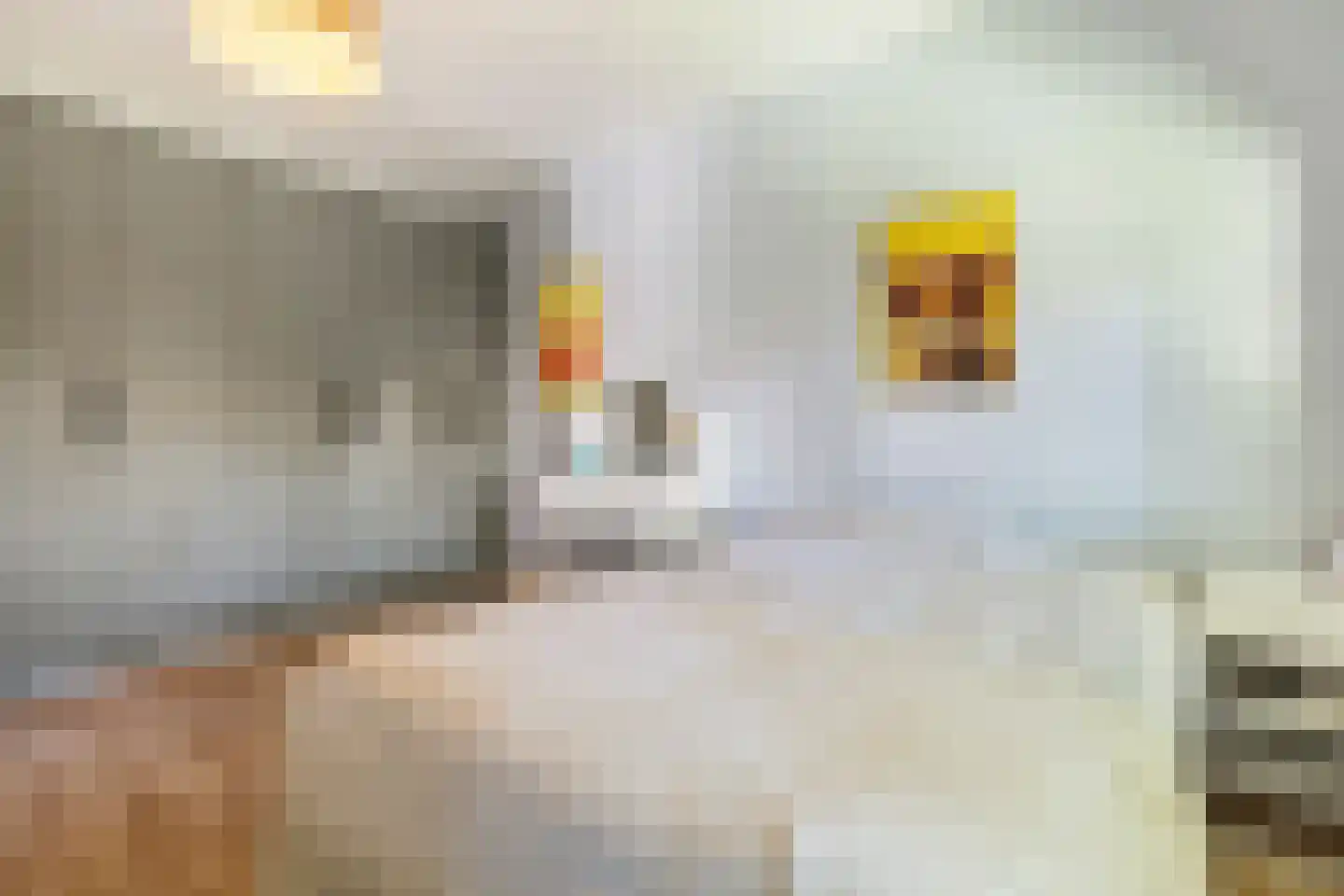 Paulus Potterlaan 8 Naarden thumbnail 32