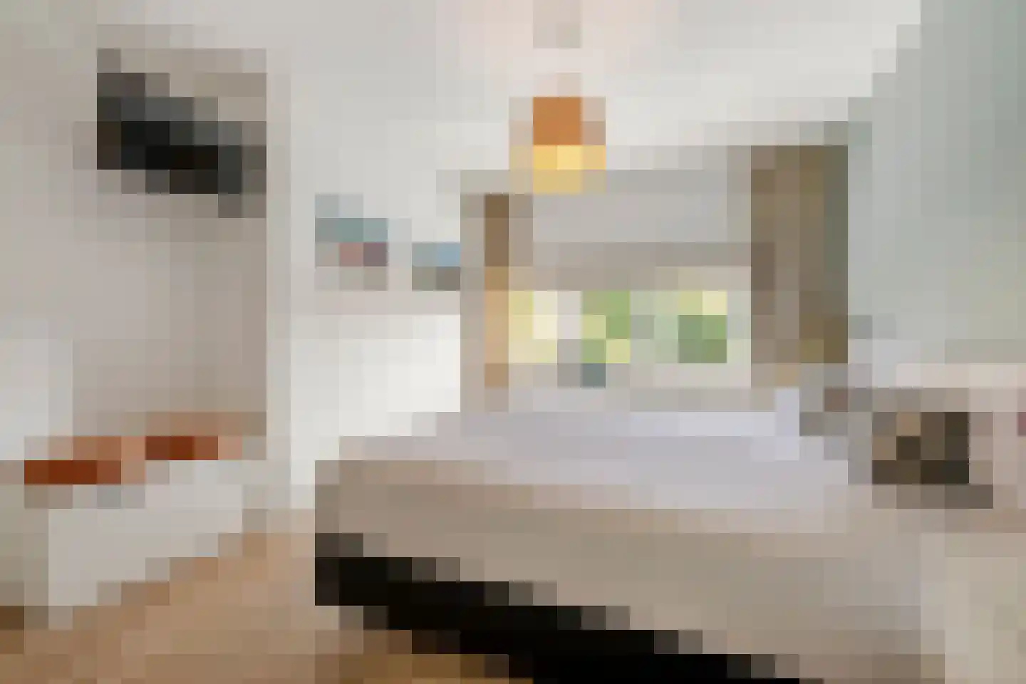 Paulus Potterlaan 8 Naarden thumbnail 34