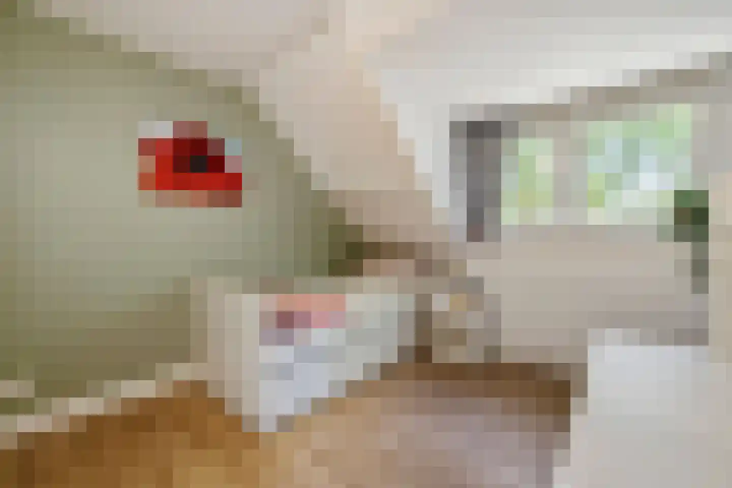 Paulus Potterlaan 8 Naarden thumbnail 43