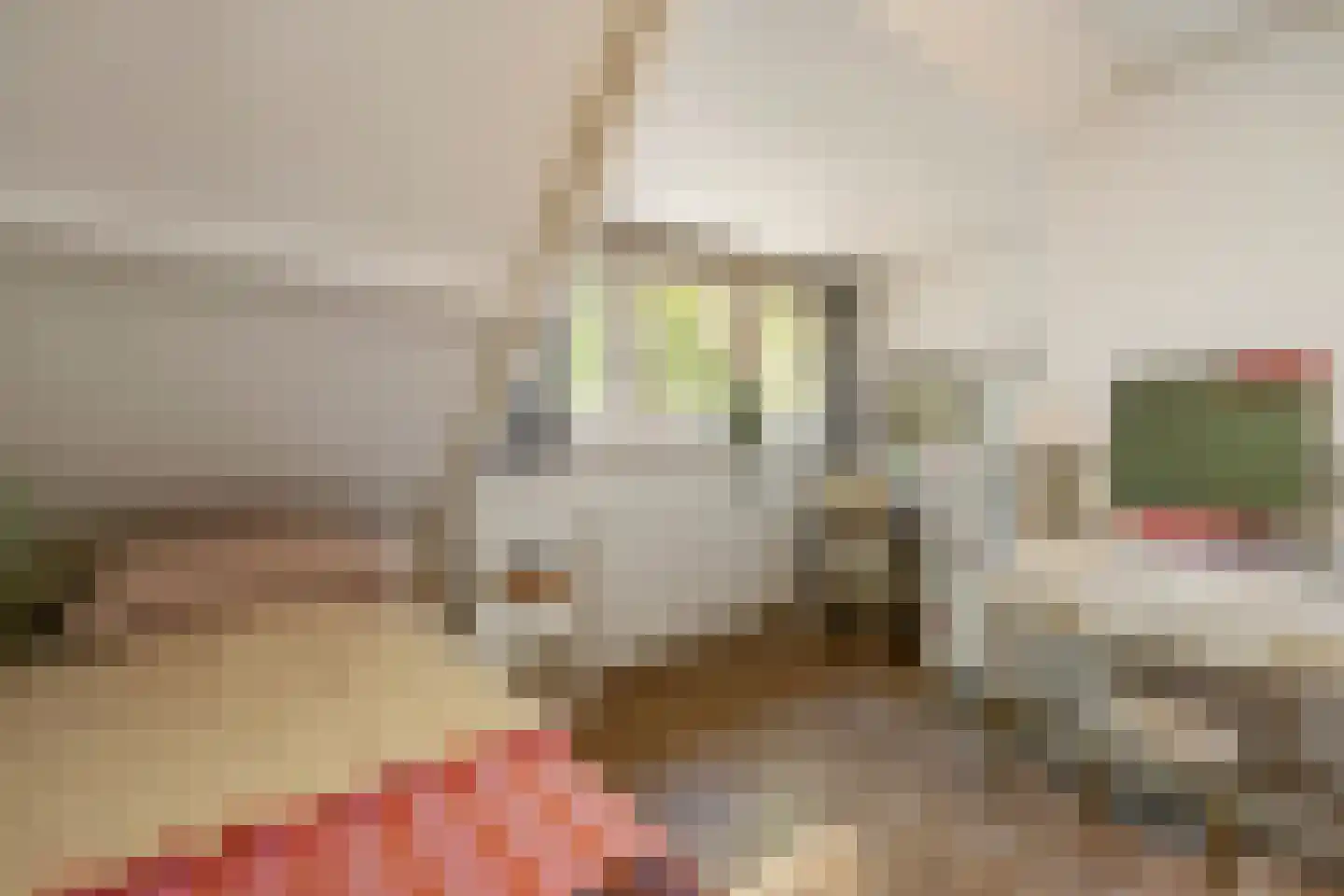 Paulus Potterlaan 8 Naarden thumbnail 44