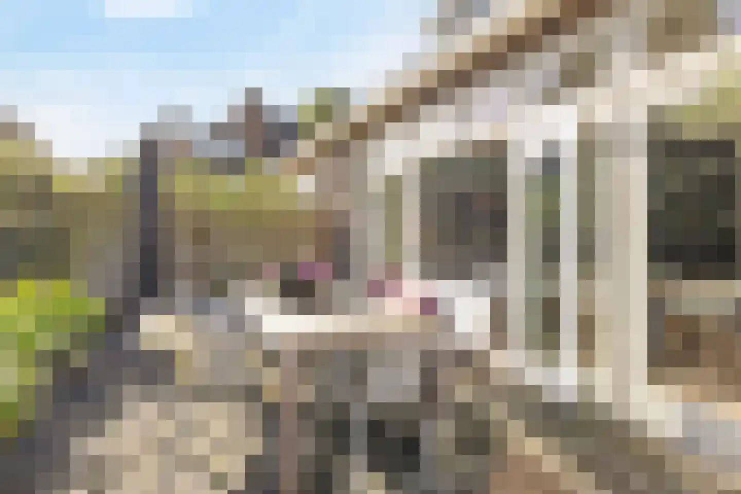 Paulus Potterlaan 8 Naarden thumbnail 47