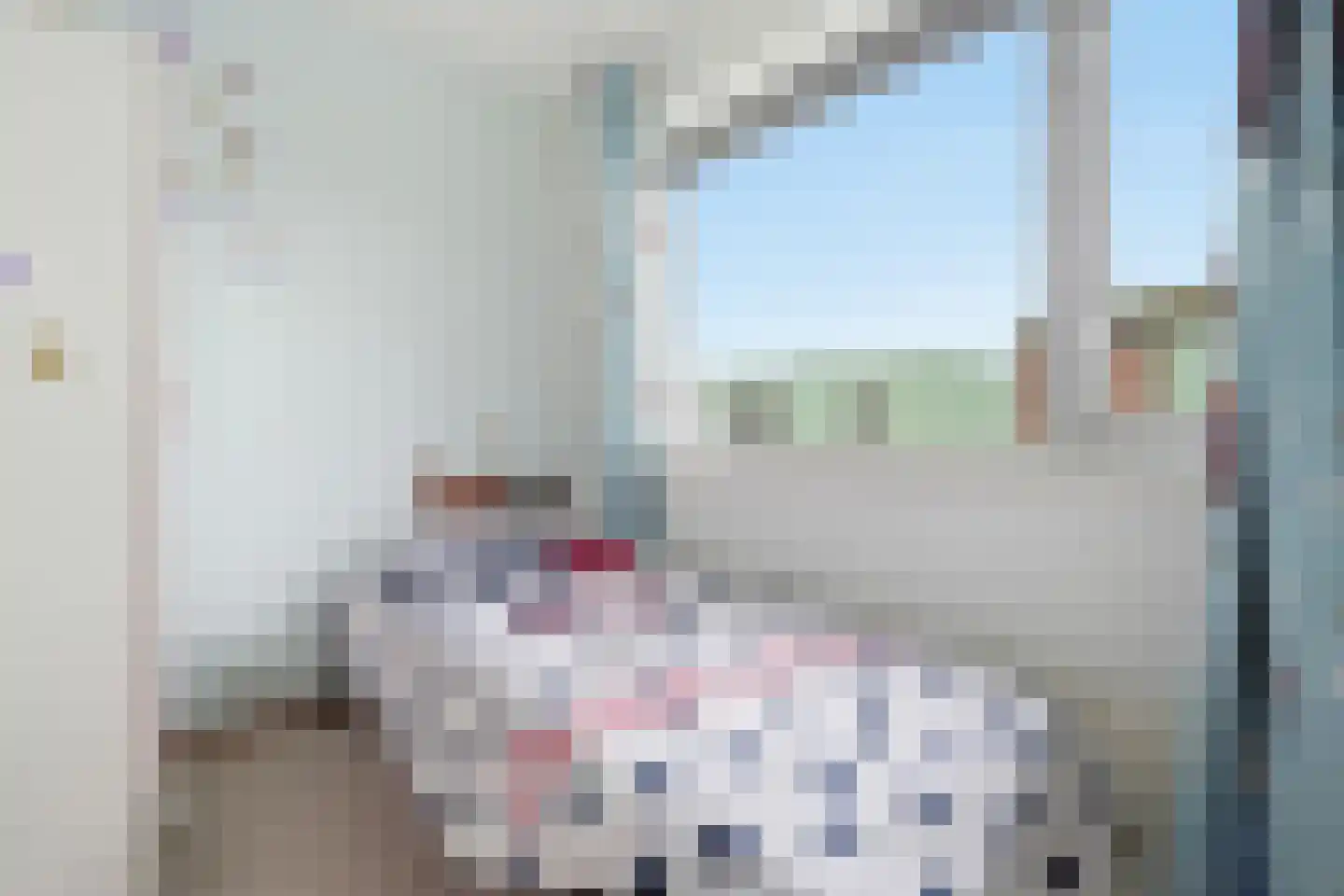 Paulus Potterlaan 8 Vlissingen thumbnail 16