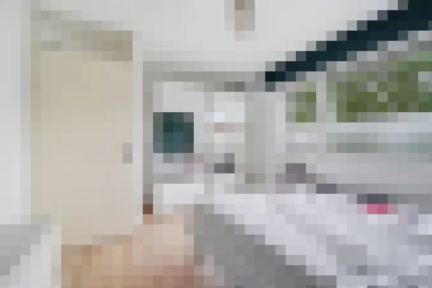 Paulus Potterlaan 8 Vlissingen thumbnail 18