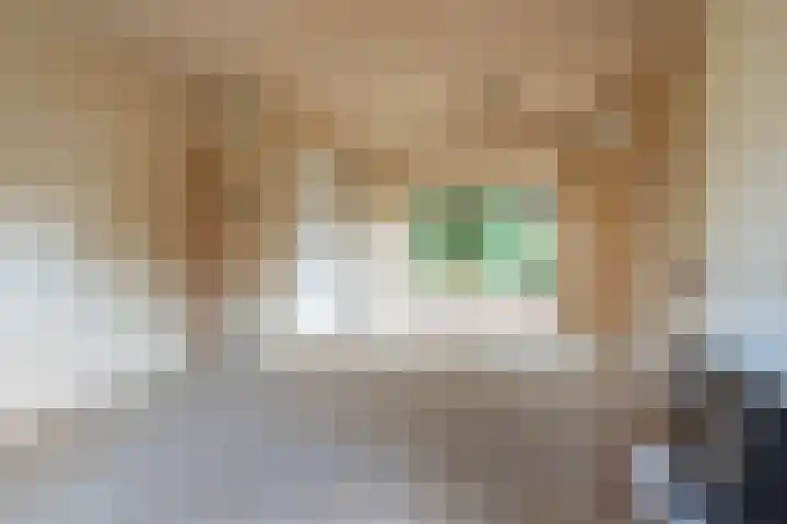 Paulus Potterlaan 9 Loosdrecht thumbnail 11