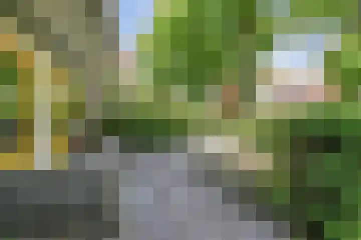 Paulus Potterlaan 99 Rijswijk thumbnail 13